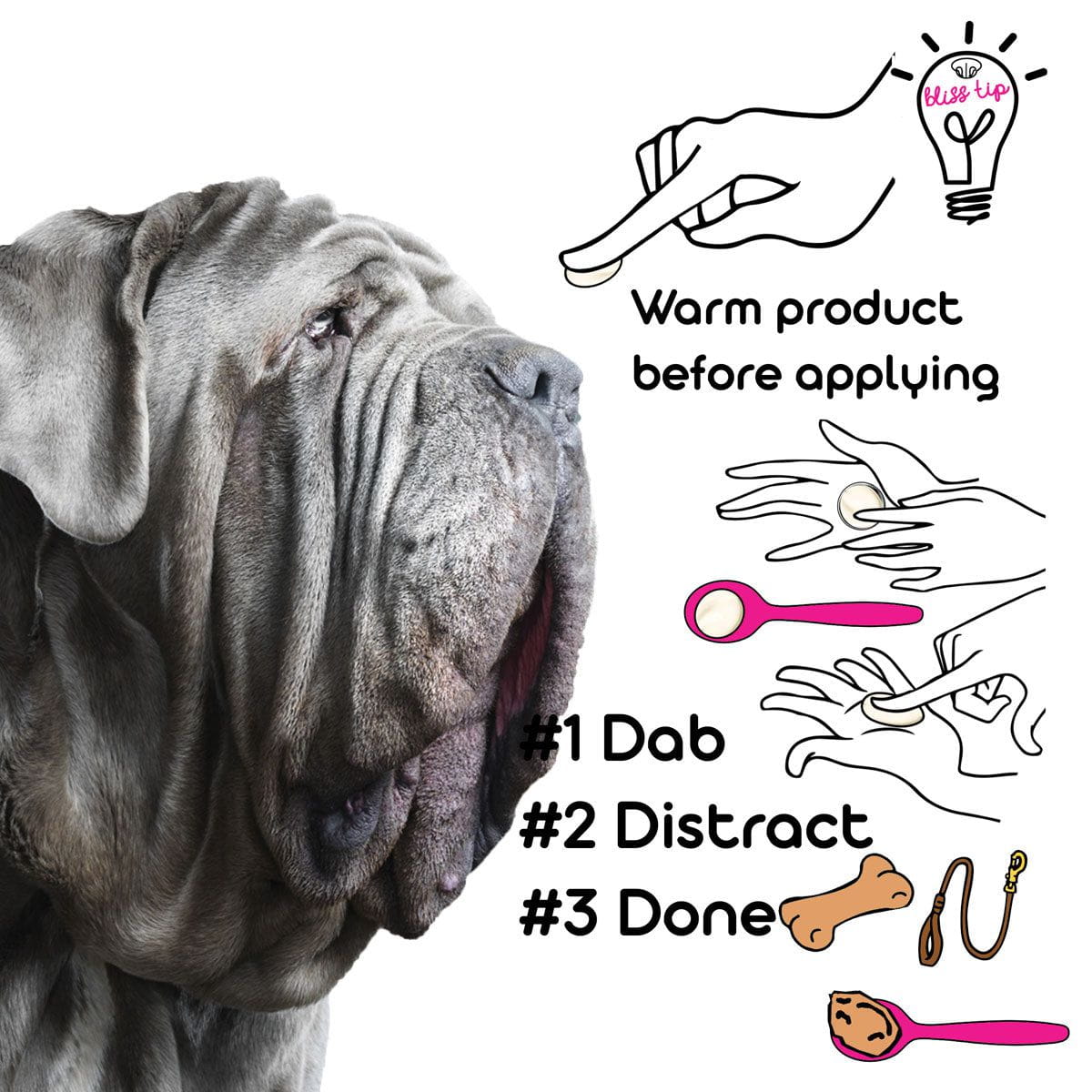 neapolitan mastiff dry nose